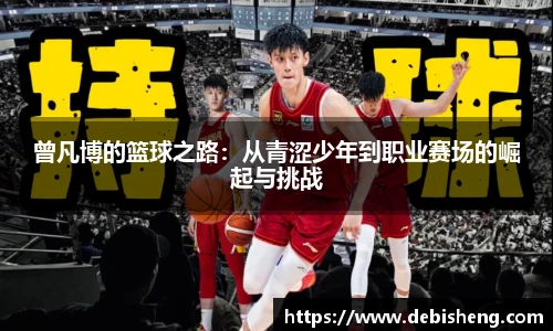 完美体育登录入口